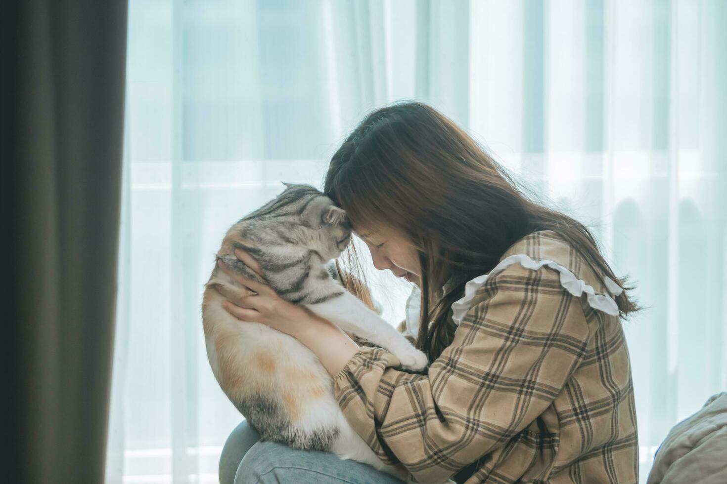 jovem mulher abraça e beija seu cat.female abraçando seu gatinho de cabelo comprido bonito. plano de fundo, copie o espaço, feche. foto