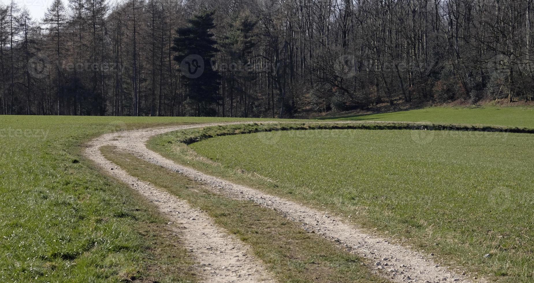 caminho de caminhada virando à direita com árvores ao fundo foto