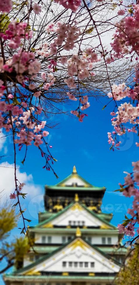 foto da paisagem do castelo de osaka na primavera, onde ainda há algumas flores de cerejeira ainda em flor.