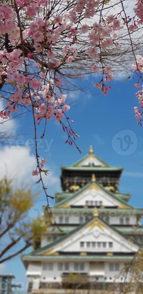 foto da paisagem do castelo de osaka na primavera, onde ainda há algumas flores de cerejeira ainda em flor.