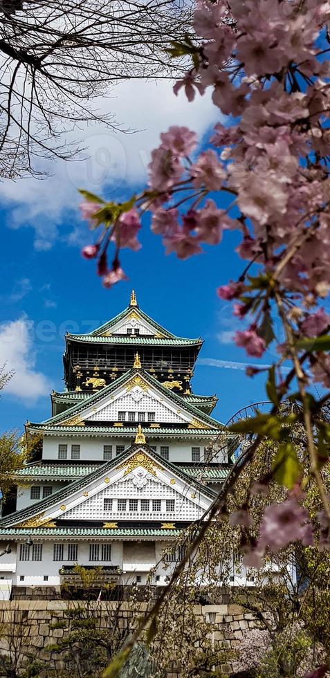 foto da paisagem do castelo de osaka na primavera, onde ainda há algumas flores de cerejeira ainda em flor.