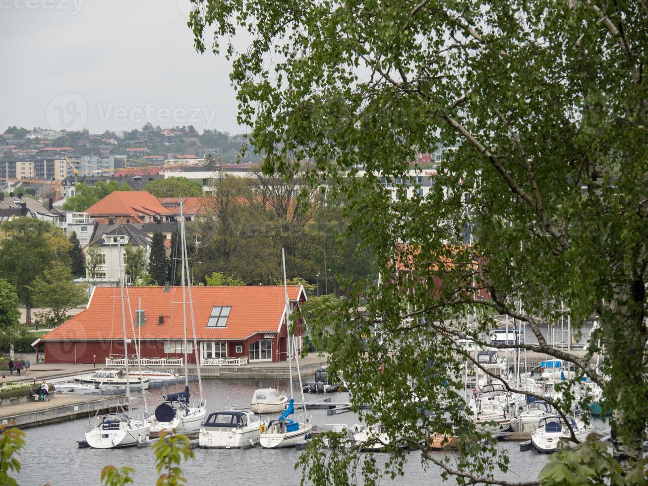 cruzeiro nos fiordes da noruega foto