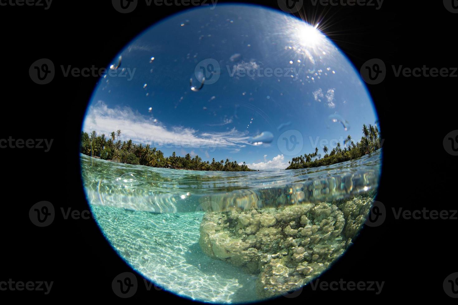 vista circular mergulhando na polinésia francesa no mundo foto