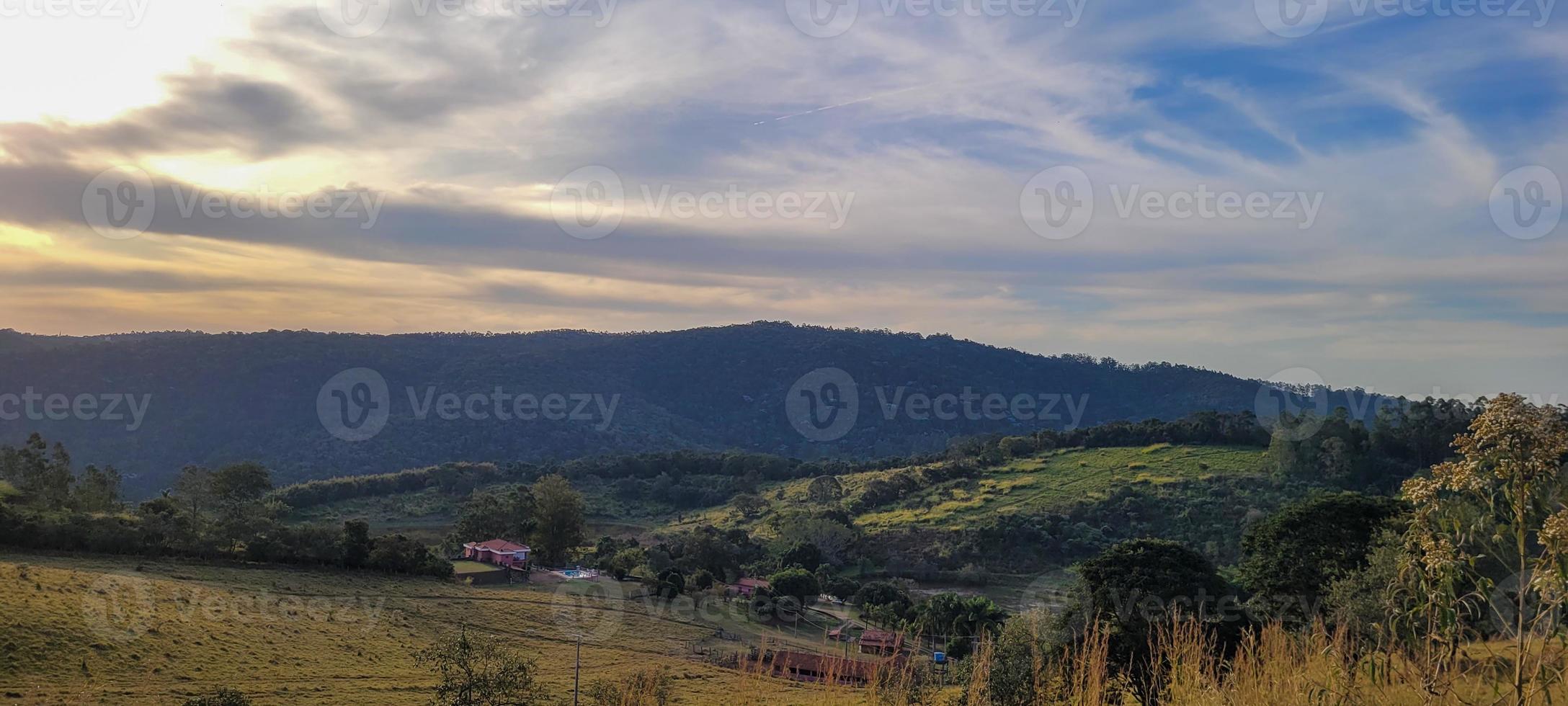 paisagem de natureza rural no interior do brasil em uma fazenda de eucalipto no meio da natureza foto