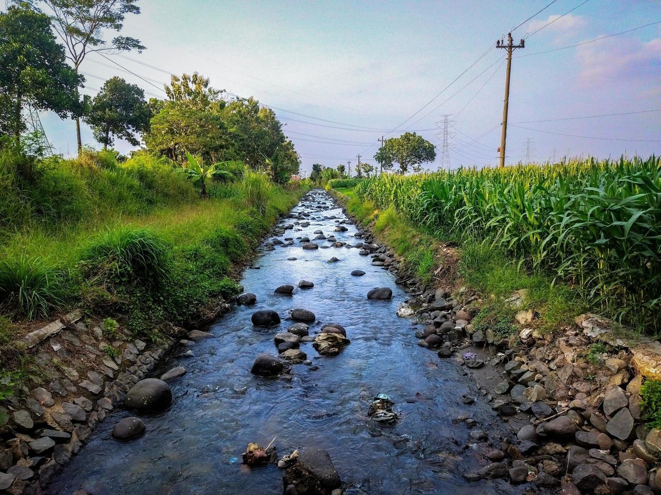 cenário de fundo de rios e campos de arroz foto