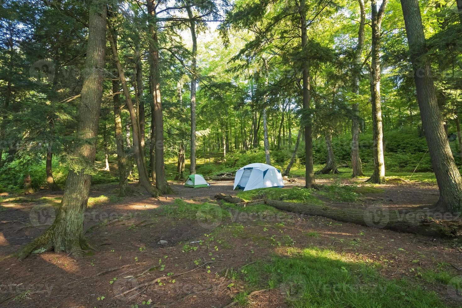 acampamento tranquilo na floresta do norte foto