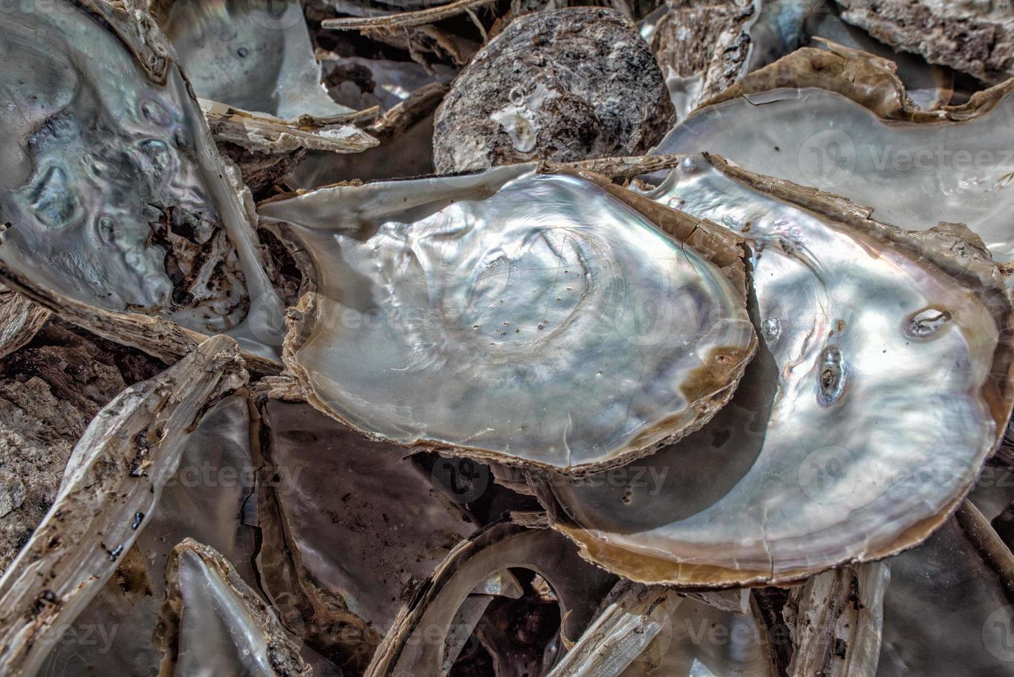 fábrica de pérolas no mar foto