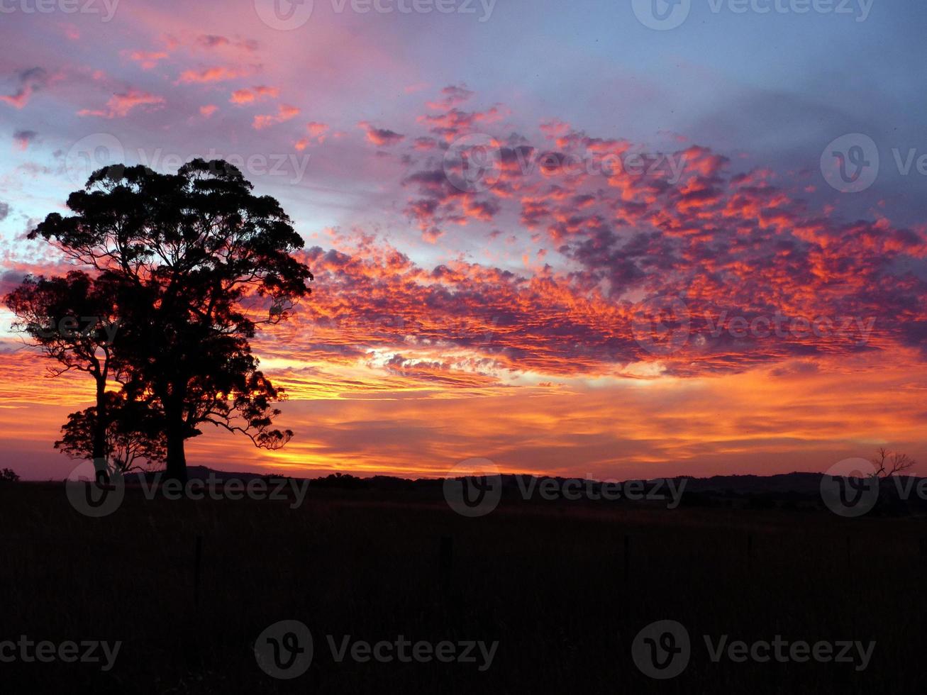 pôr do sol sobre um campo com nuvens vermelhas no céu foto