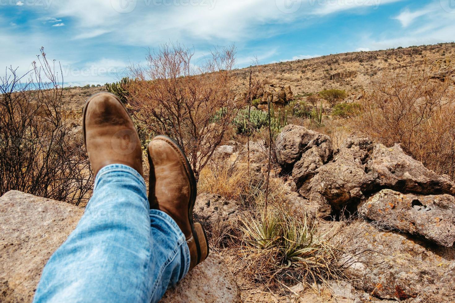 paisagem do deserto de cowboy com cactos em victoria guanajuato méxico foto