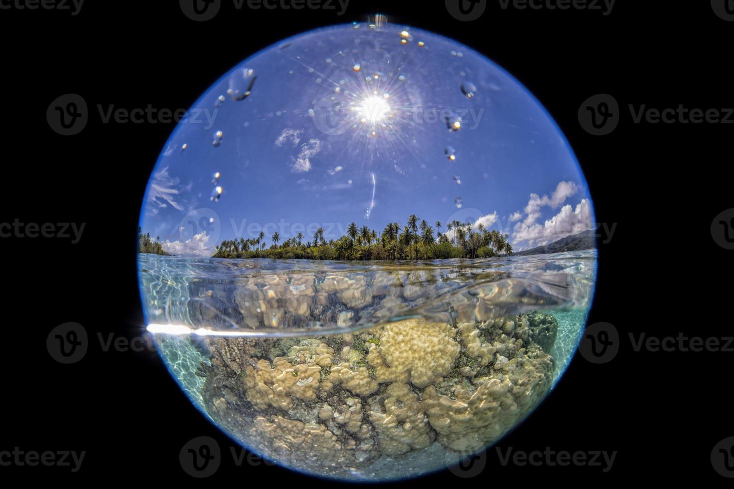 recife de coral debaixo d'água na polinésia francesa tahaa foto