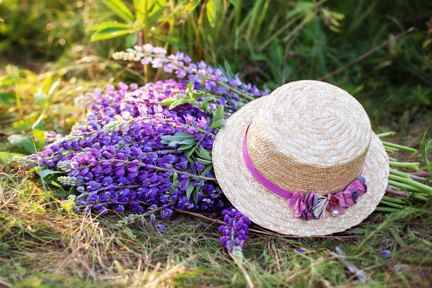 tremoço roxo flores cobertas com chapéu de palha no campo foto