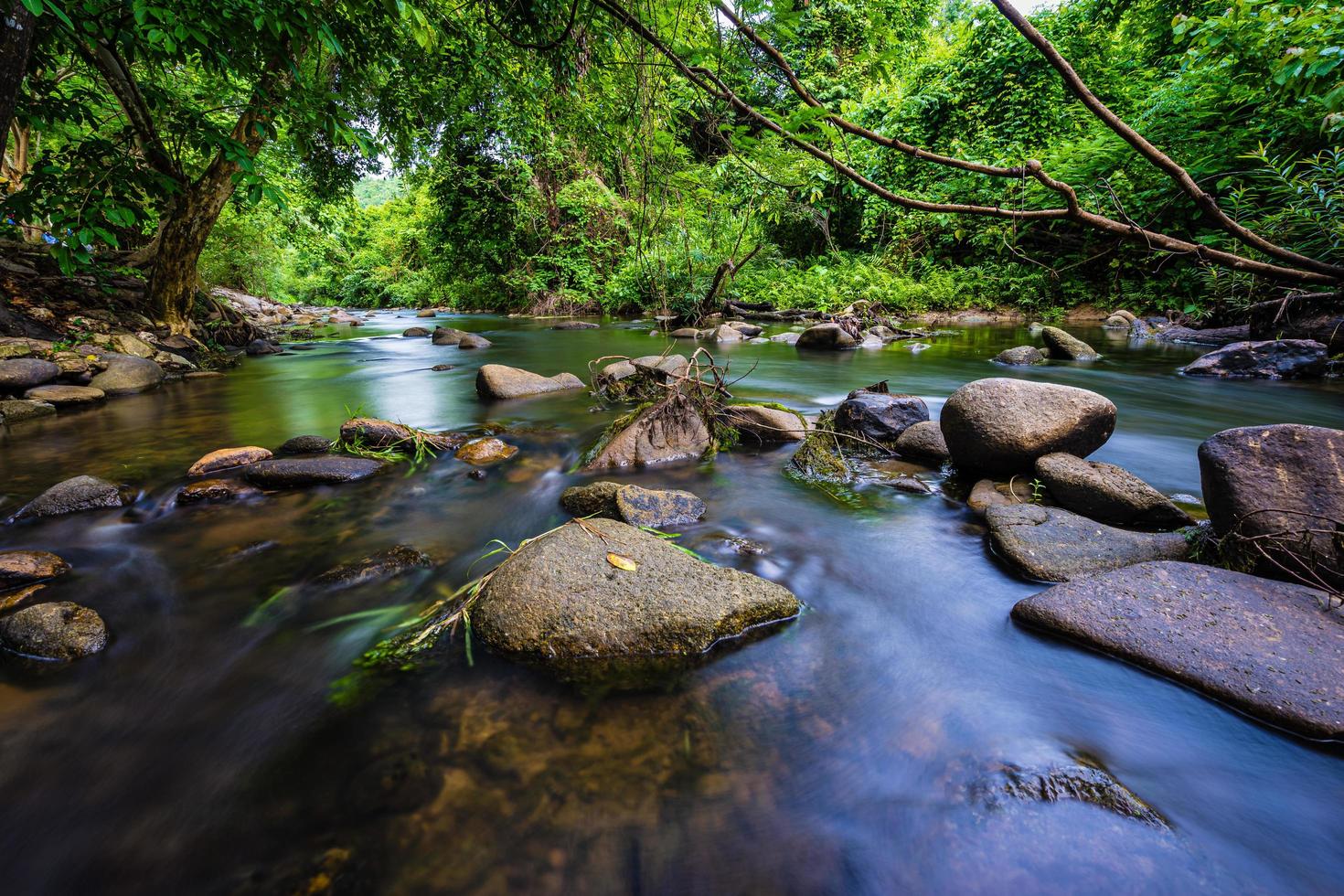 córrego da montanha na floresta foto