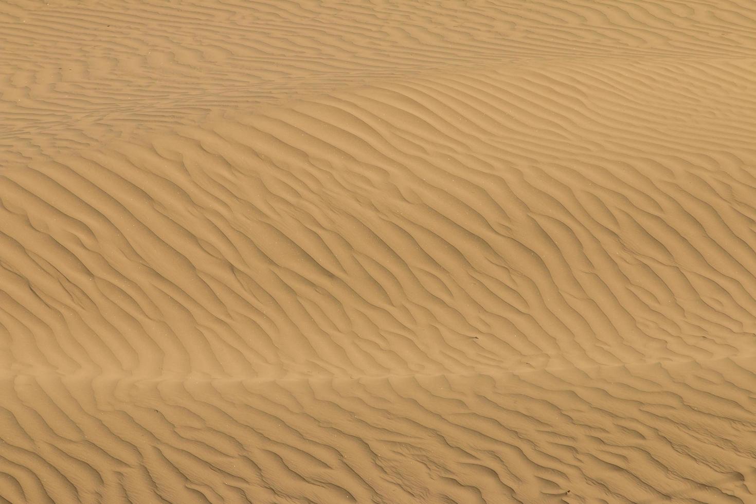 detalhe abstrato de areia nas dunas foto