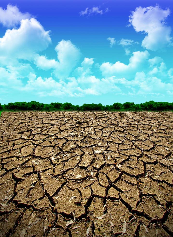 grande campo de terra cozida após uma longa seca foto