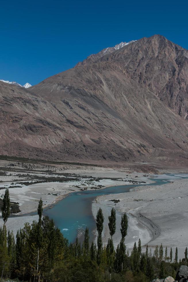 Vale Nubra em Ladakh foto