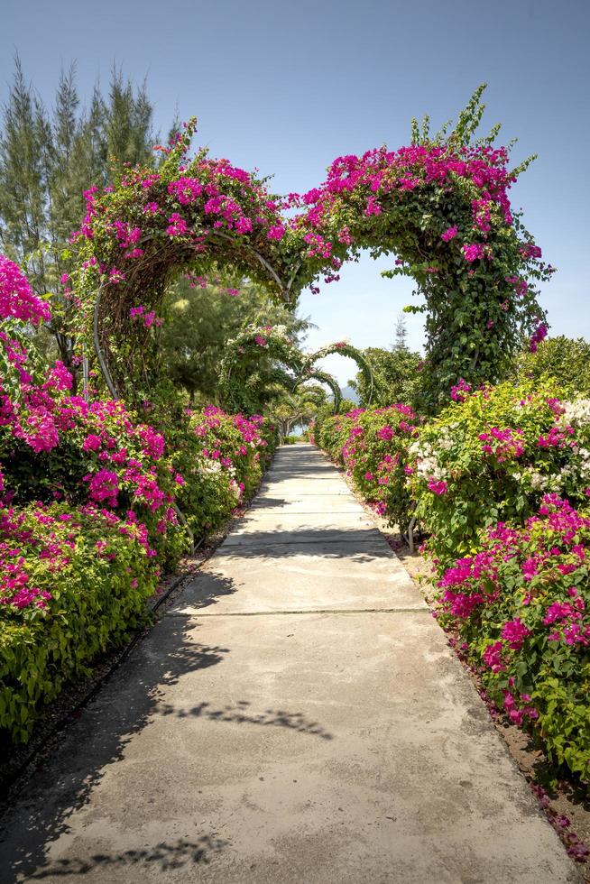 jardim com arco de coração de flores foto