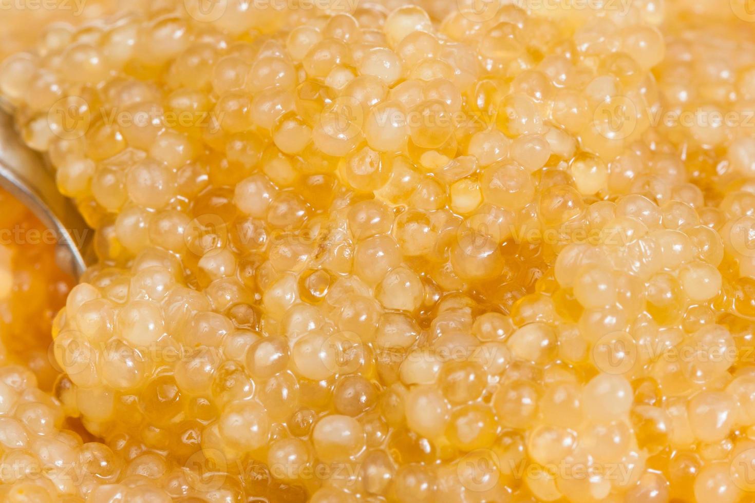 superfície de caviar amarelo salgado de peixe lúcio foto