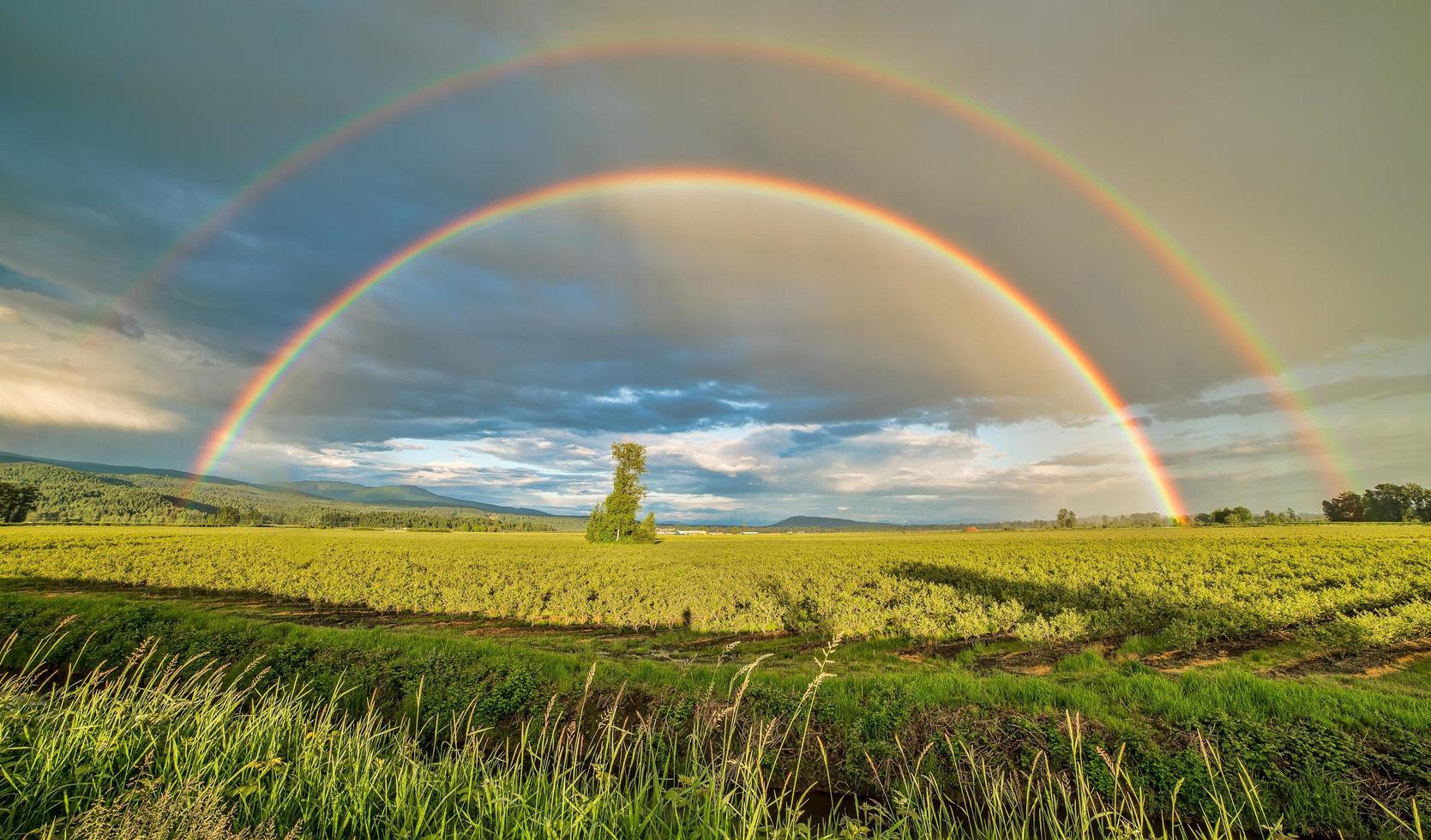 arco-íris duplo sobre o campo foto