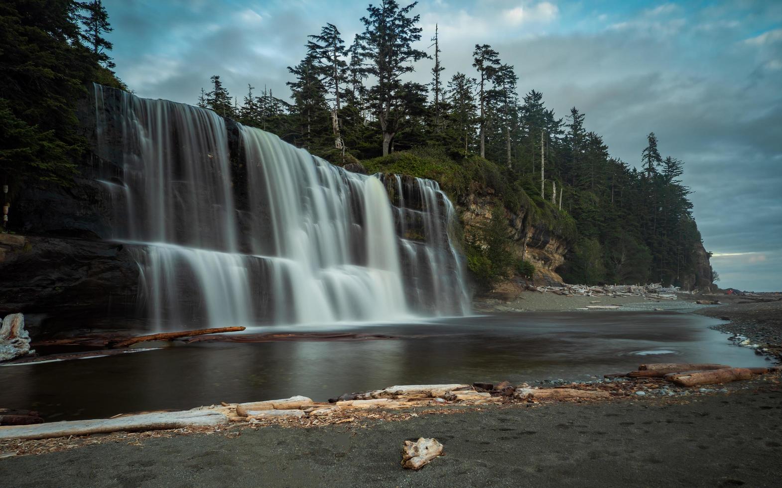 tsusiat cai no canadá foto