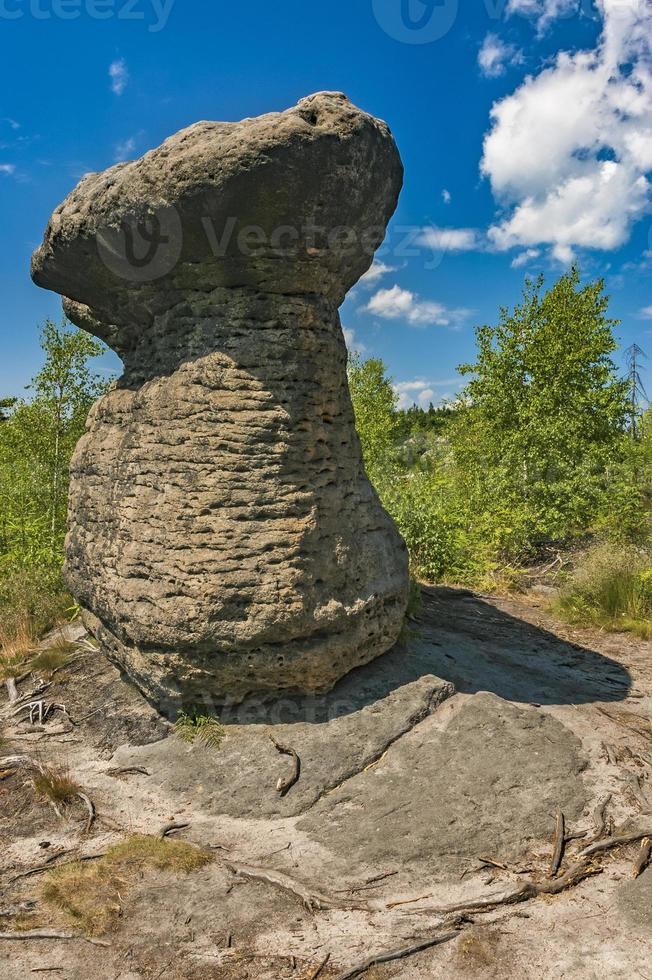 pedra parece cogumelo foto