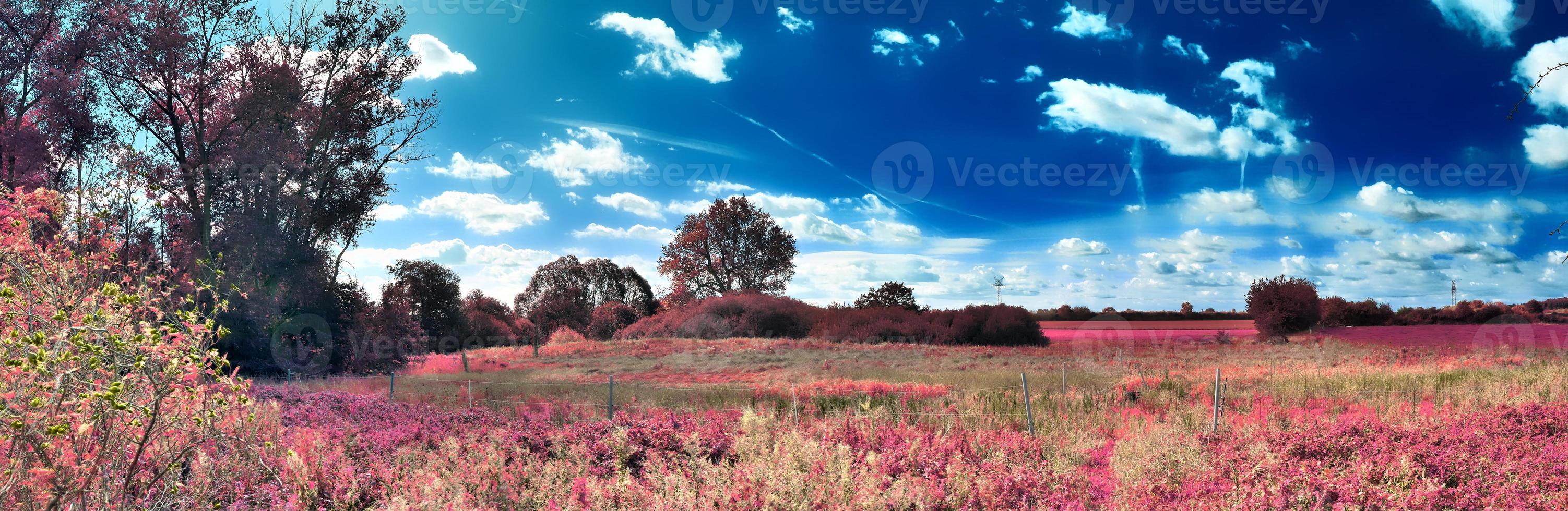 bela e colorida paisagem de fantasia em estilo infravermelho roxo asiático foto