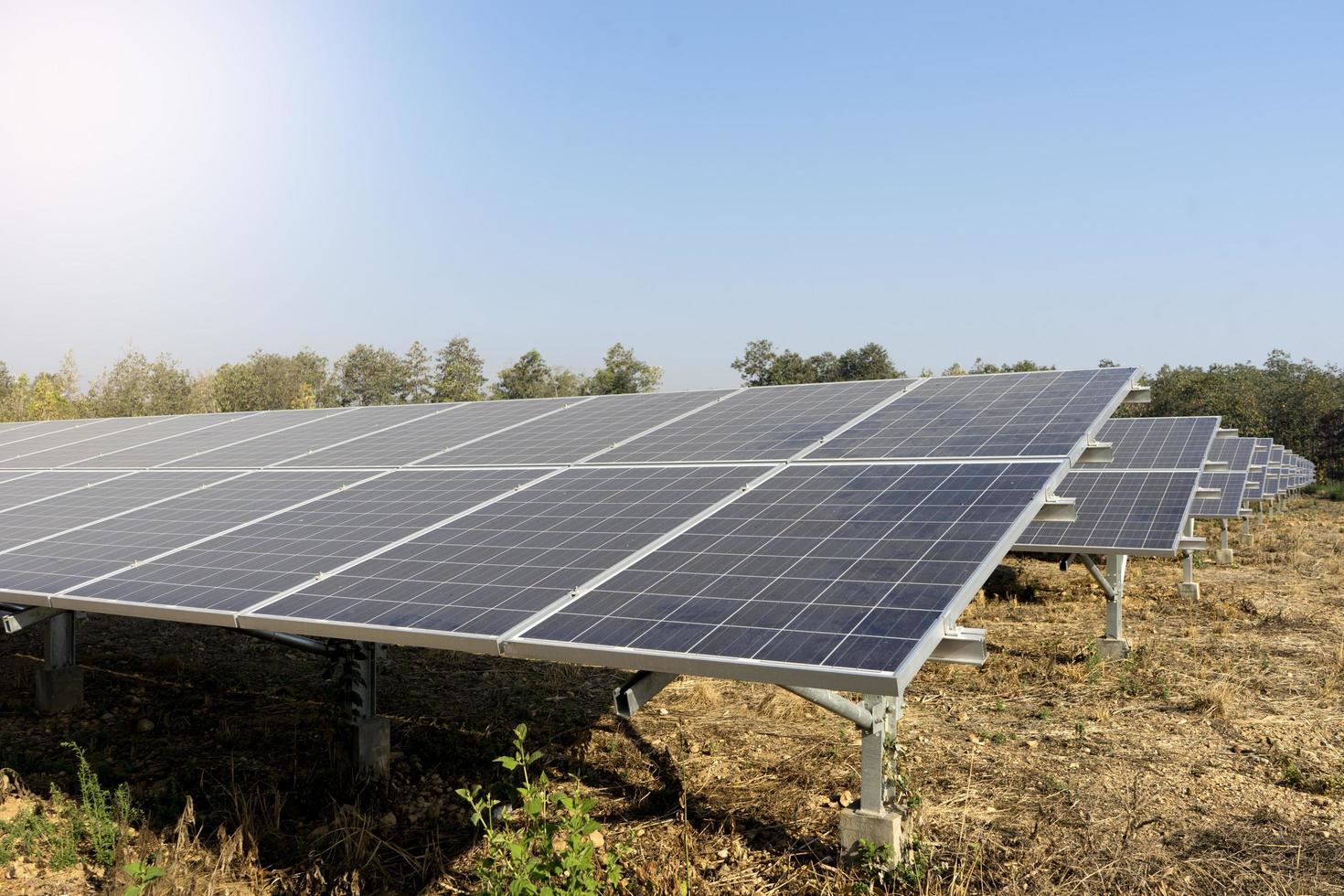 fazenda solar fornecendo energia verde foto