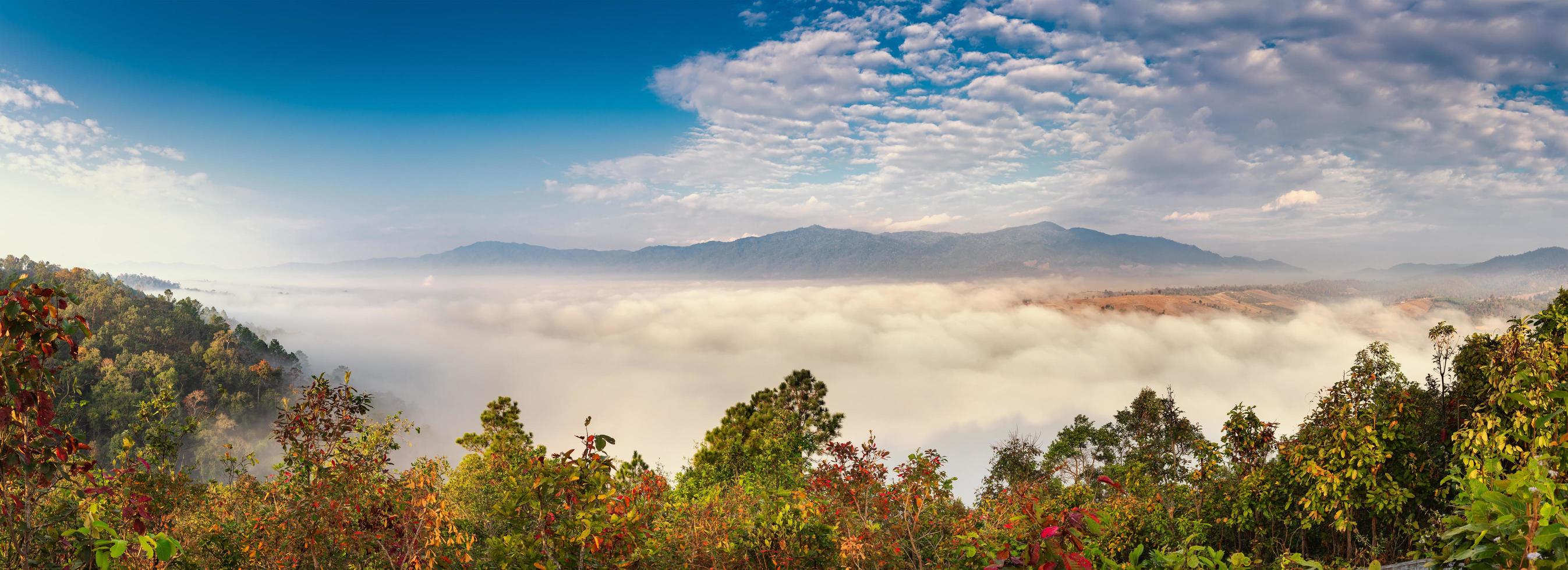 floresta com nuvens e montanhas foto