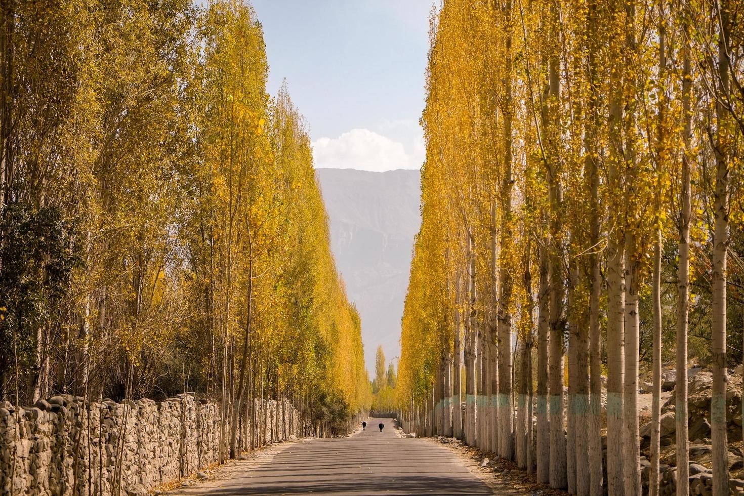 estrada em direção a khaplu no outono na vila de ghowari, paquistão foto