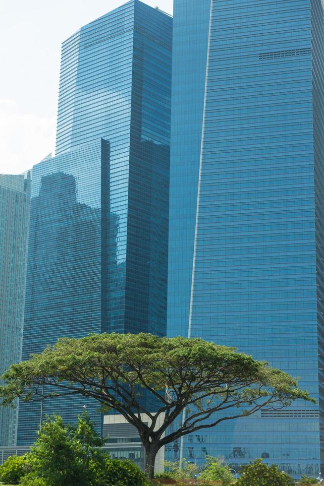 edifícios no horizonte de singapura foto