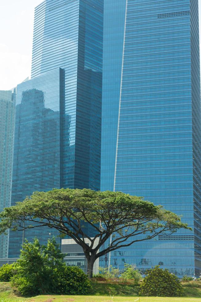 edifícios no horizonte de singapura foto