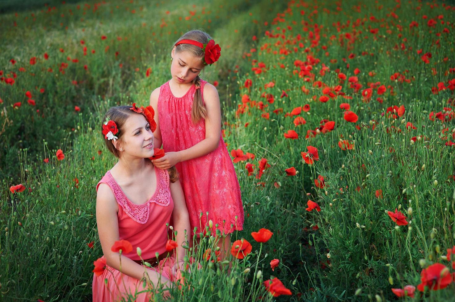 duas meninas de vestido rosa no campo de papoulas foto