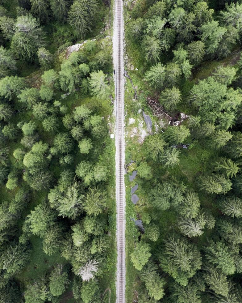 vista aérea da ferrovia na floresta foto