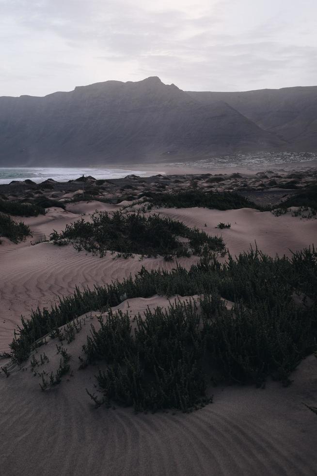 dunas de areia perto do corpo de água foto