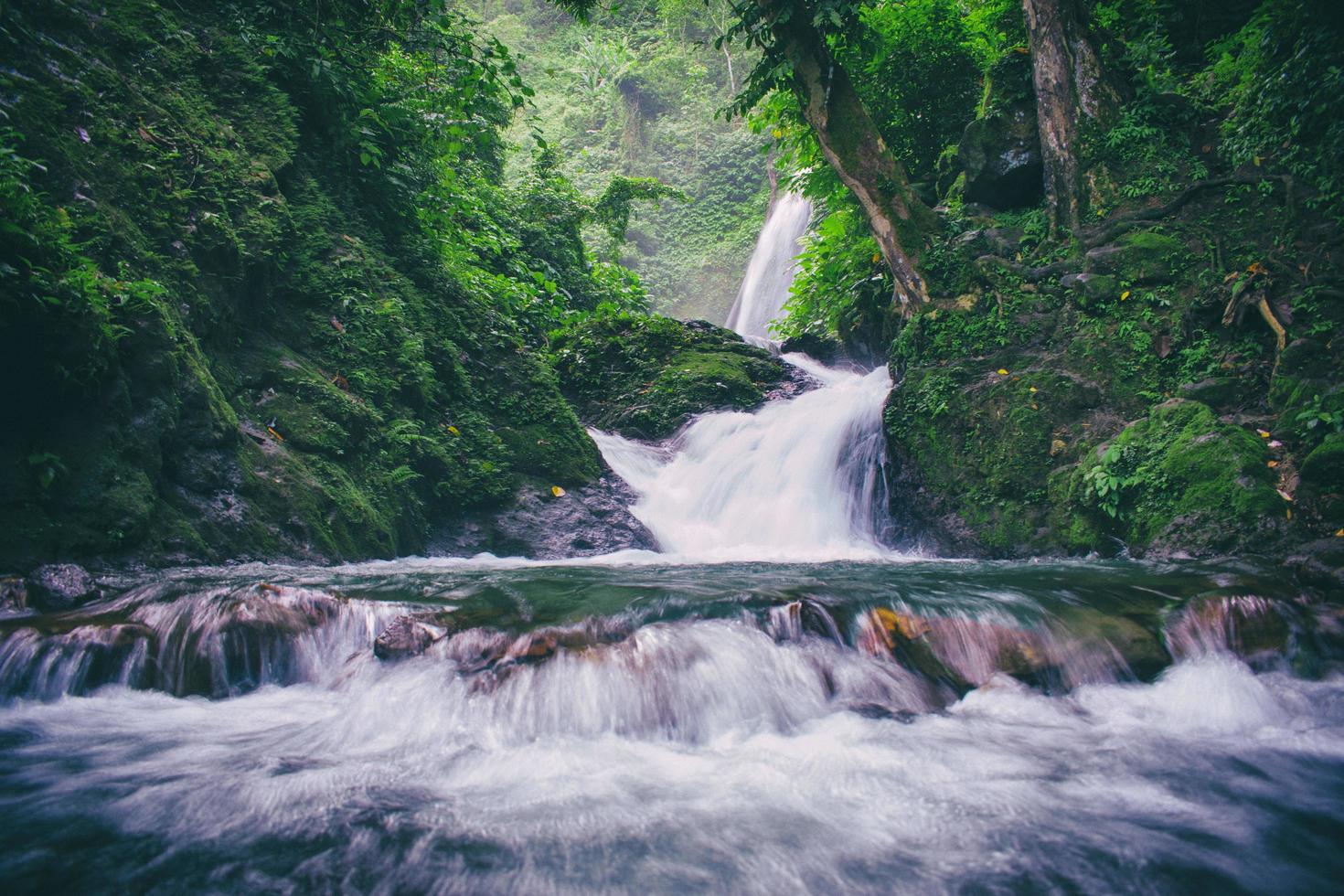 cachoeira entre árvores foto