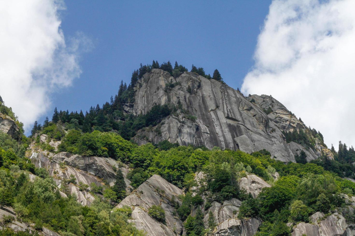 olhando para a montanha coberta de árvores foto