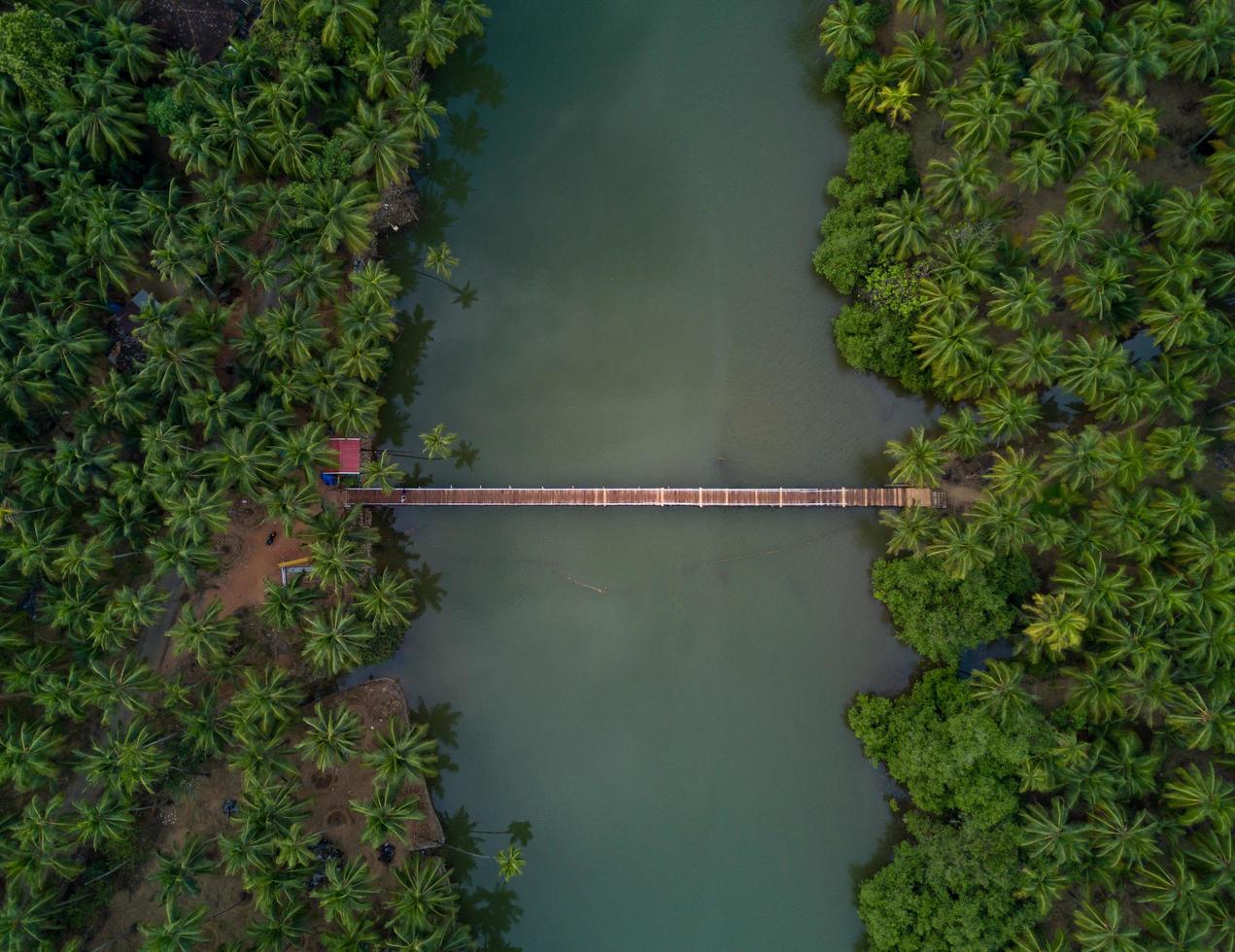 vista aérea sobre a ponte foto