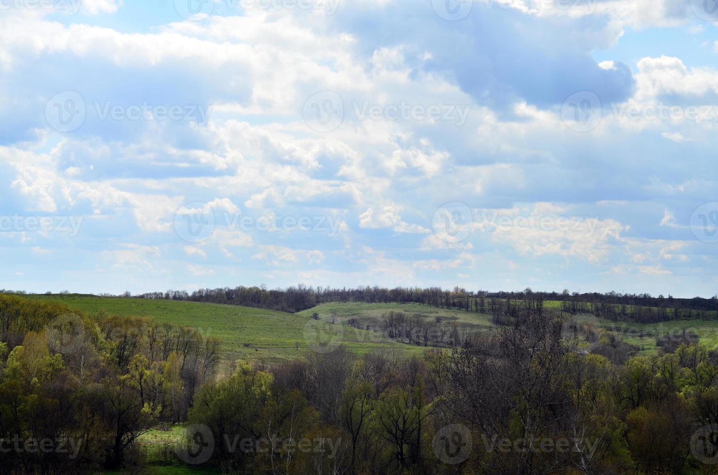 panorama da paisagem rural no início do verão foto