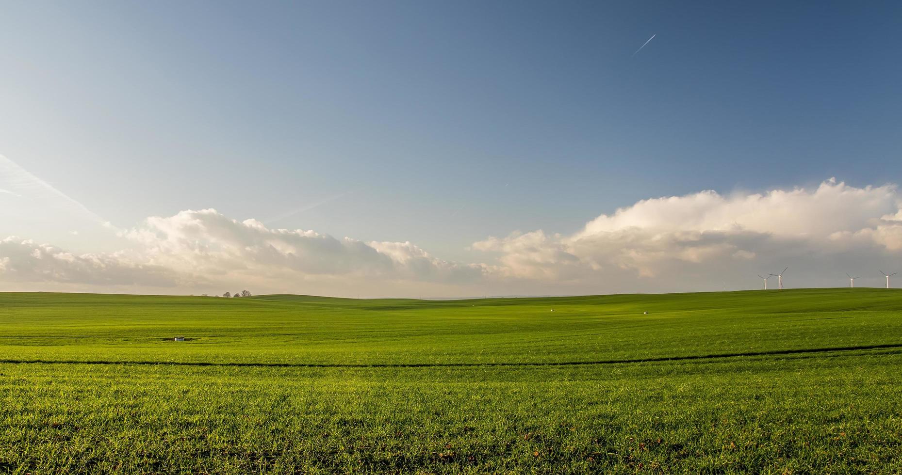 campo gramado verde com céu azul foto
