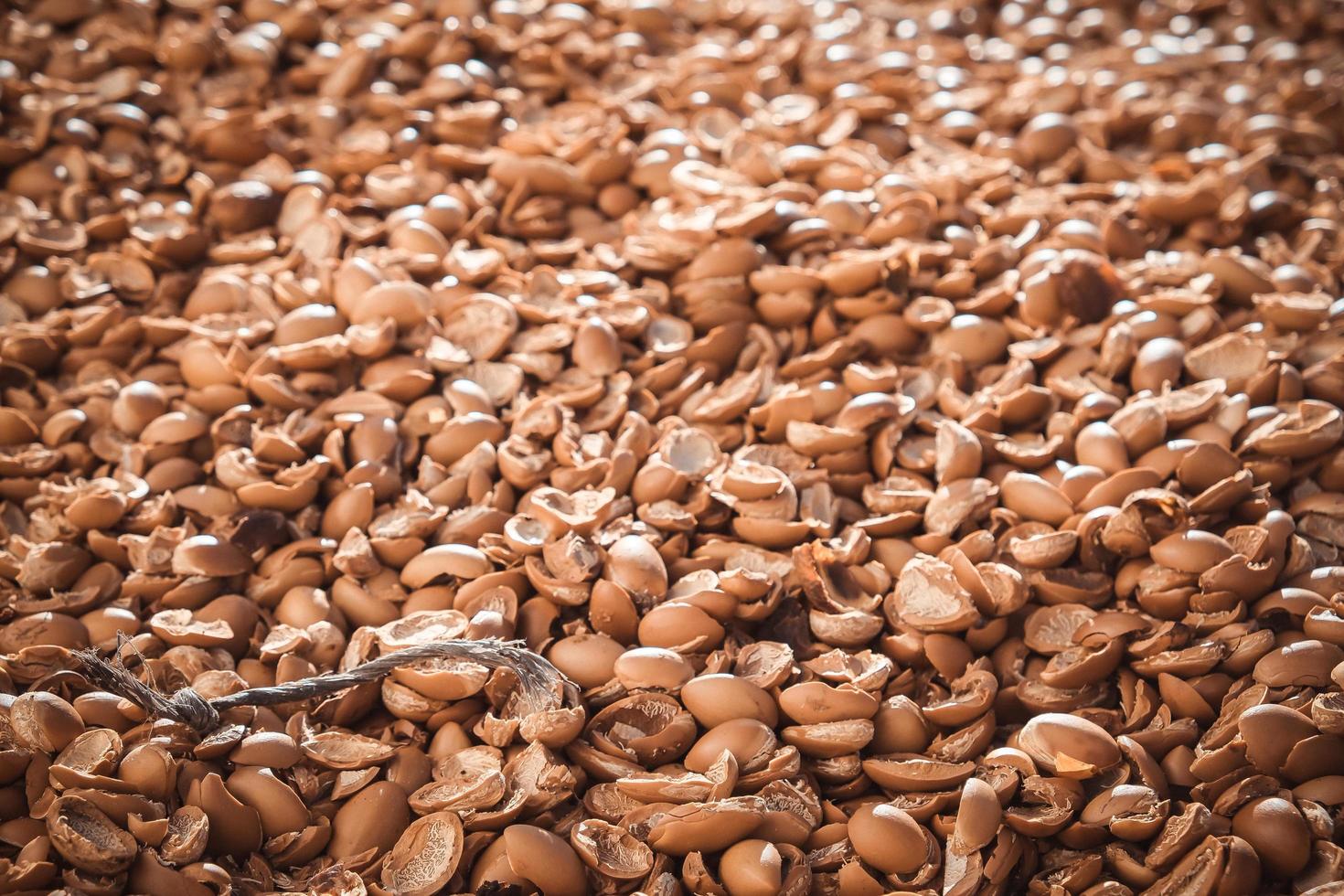 monte de conchas de noz de argan foto