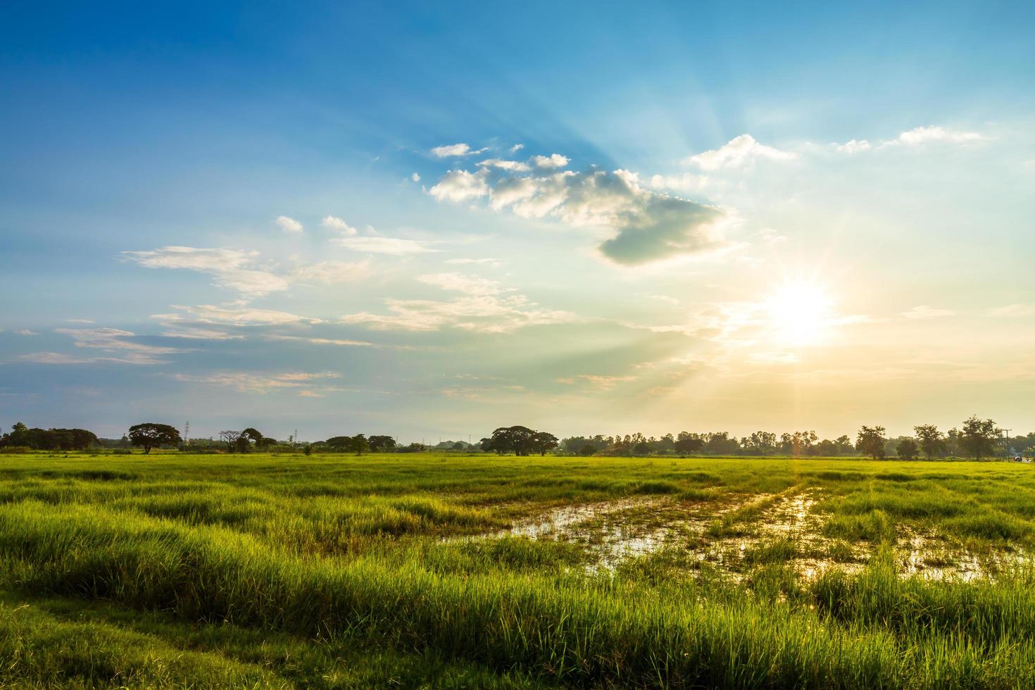 belo ambiente paisagem foto