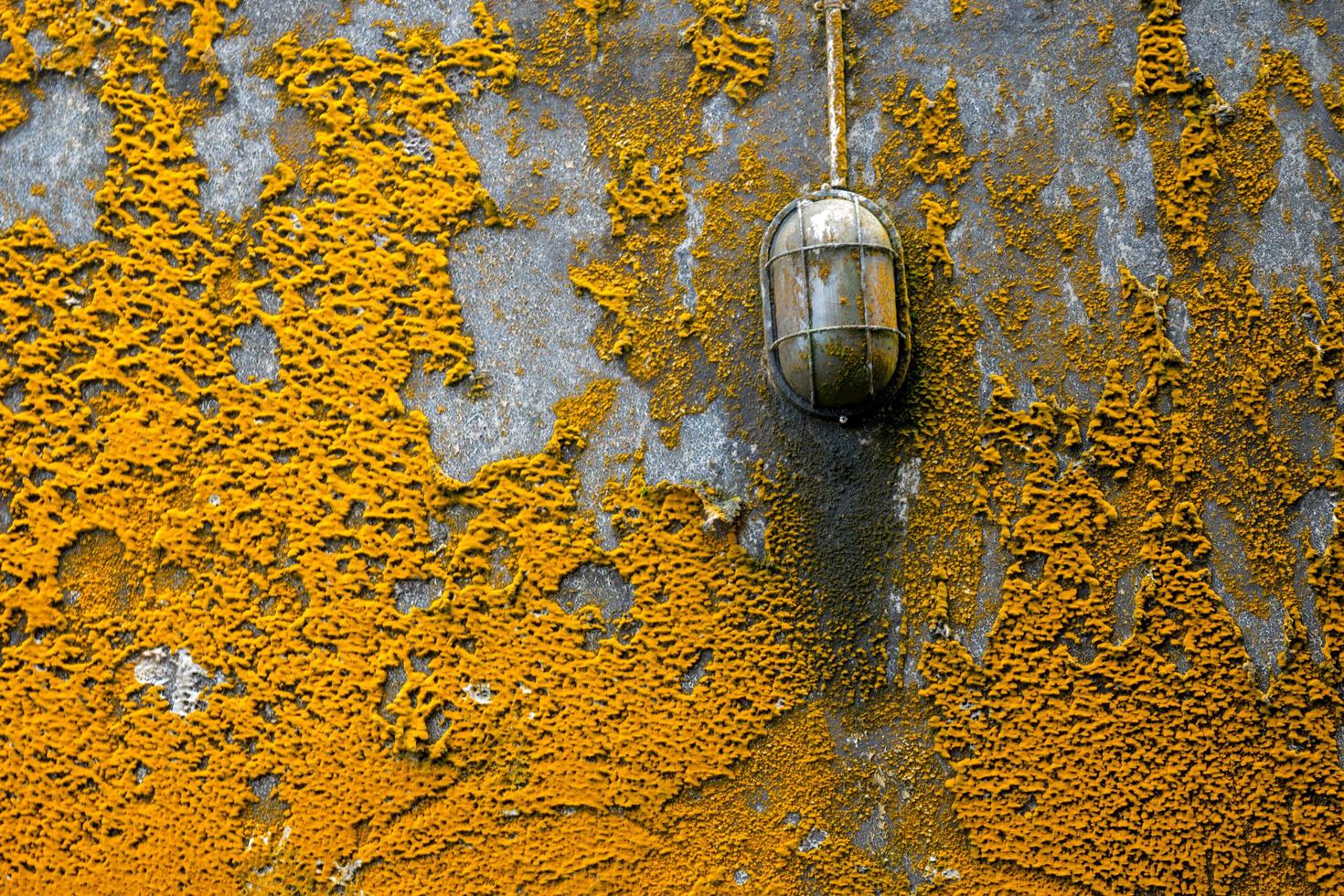 muro de concreto cinza foto