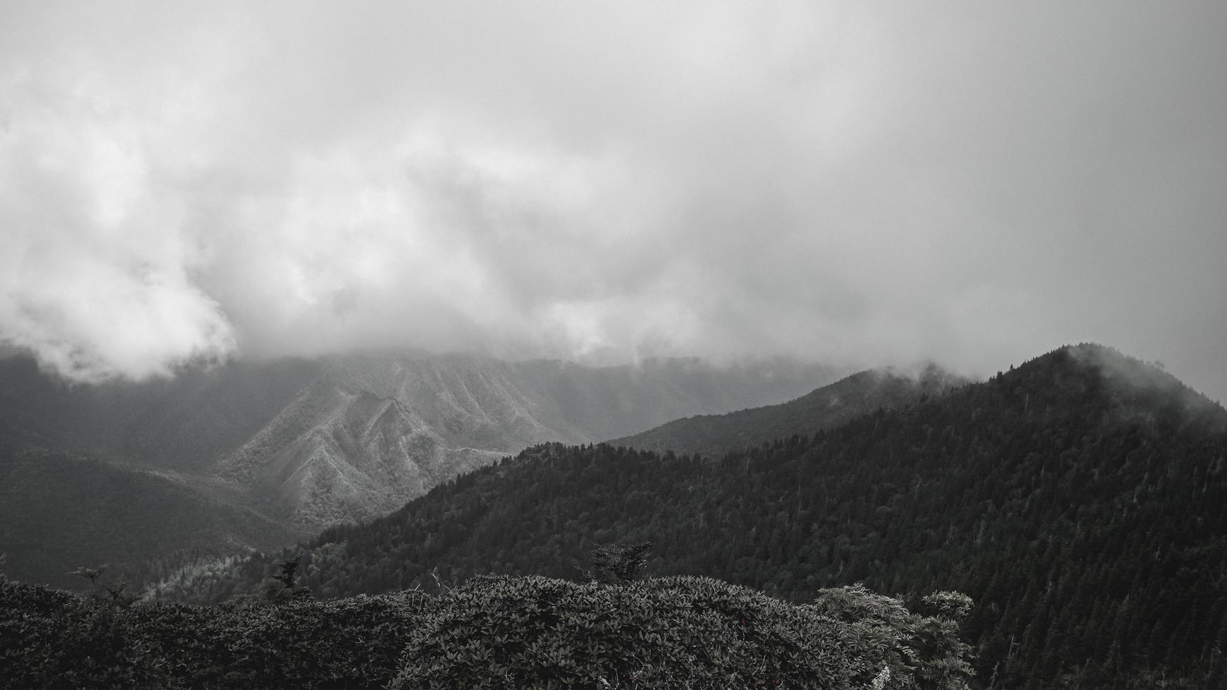 montanha com nevoeiro foto