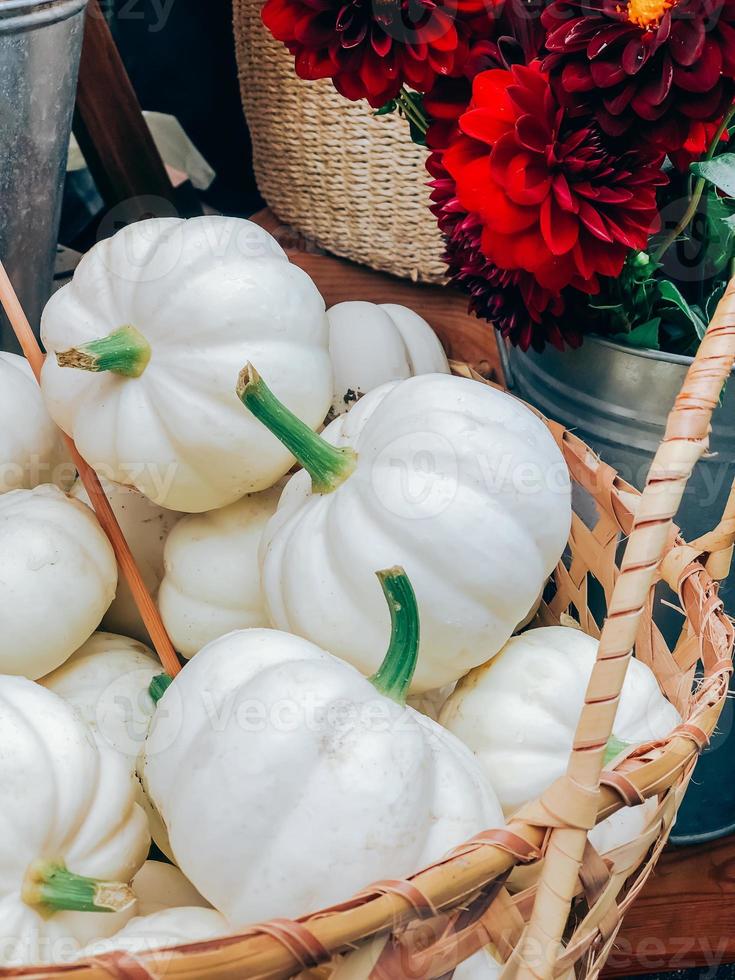 pilha de abóboras brancas decorativas na cesta no mercado foto