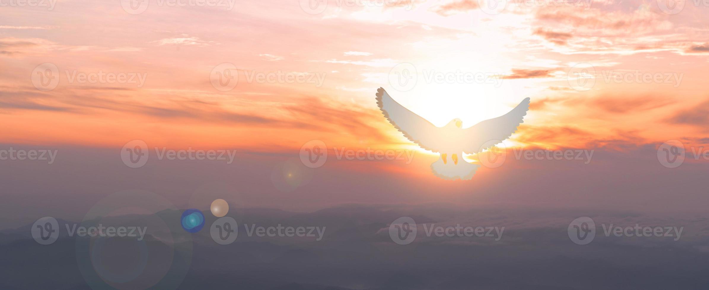 pombas voam no céu. os cristãos têm fé no espírito santo. silhueta adoração a Deus com amor fé, espírito e jesus cristo. cristão orando pela paz. conceito de adoração no cristianismo. foto