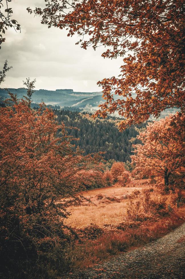 fotografia de paisagem de montanhas e árvores foto