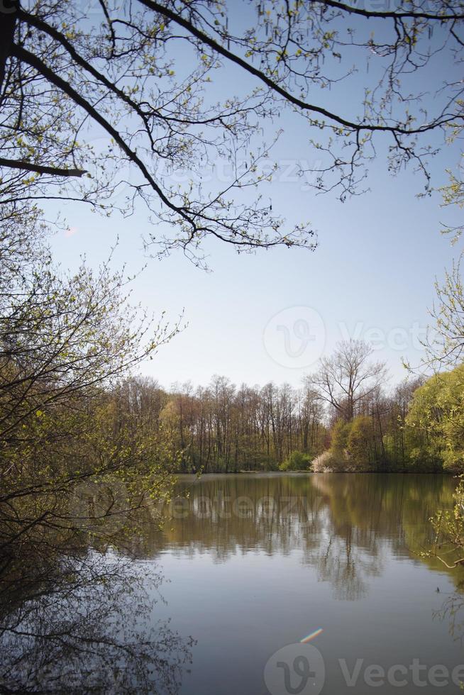 lago calmo com vegetação circundante, reflexo das árvores no lago, em primeiro plano contra a luz foto