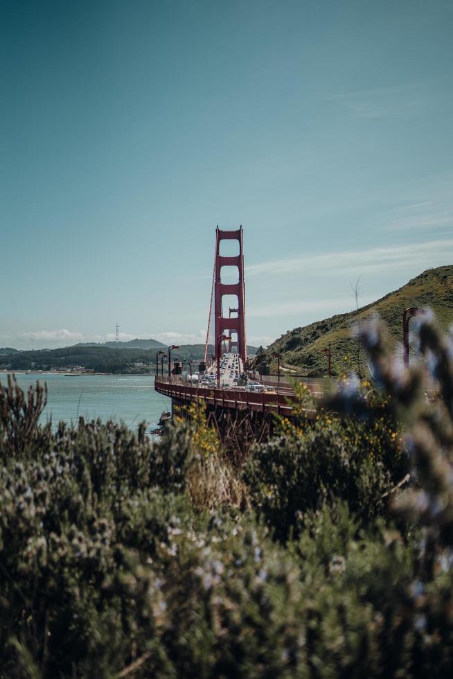 ponte da baía de são francisco foto