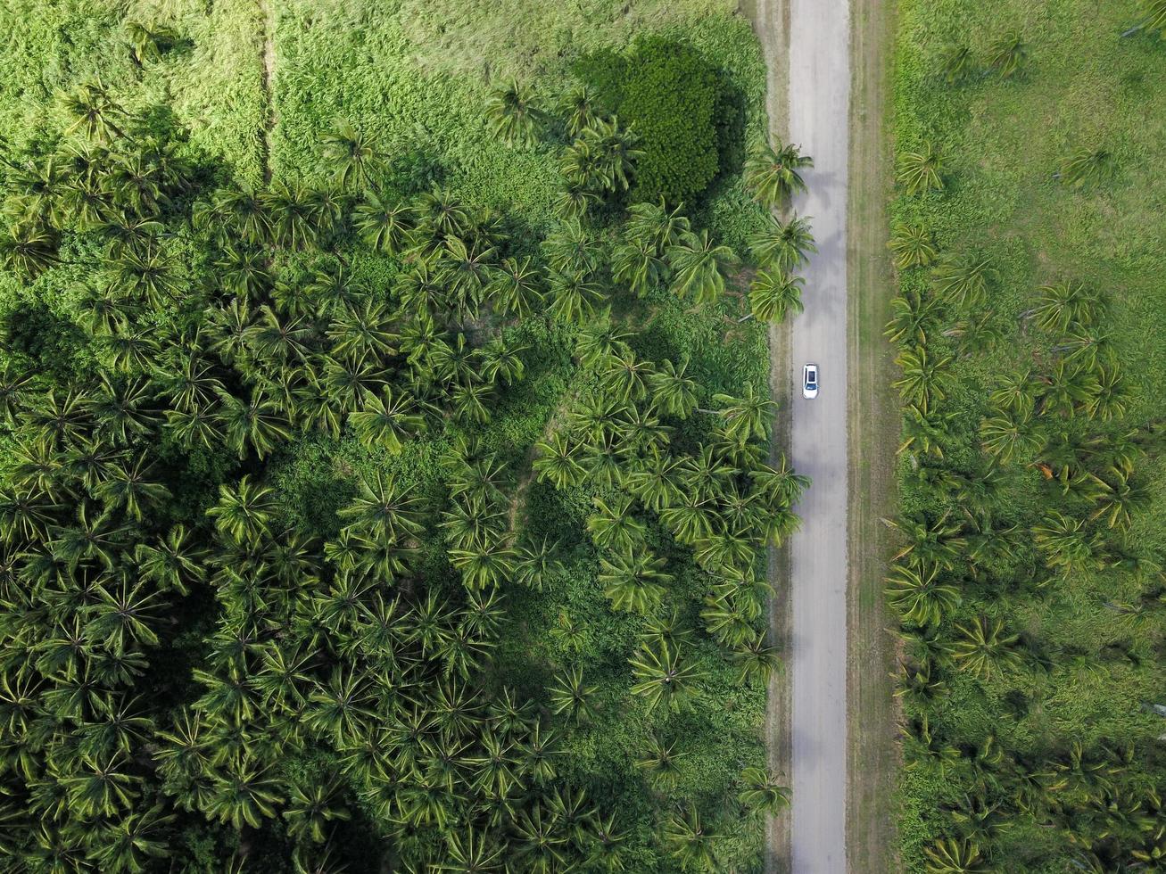 fotografia aérea de veículo na estrada foto