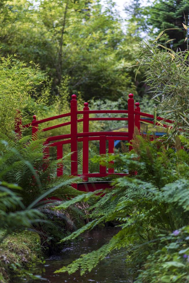 ponte pedonal vermelha com samambaias, riacho e floresta foto