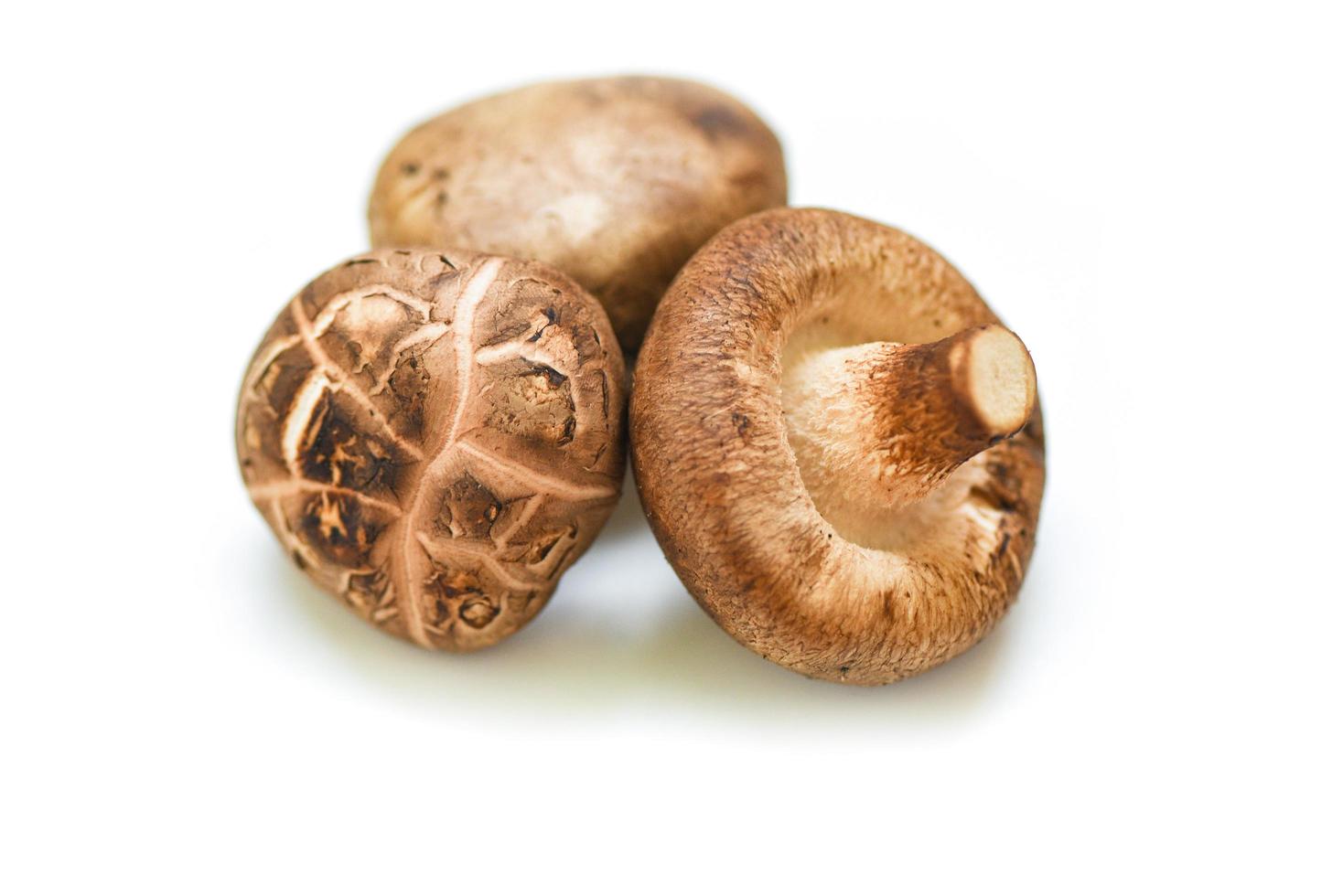 cogumelos frescos isolados no fundo branco - cogumelos shiitake foto